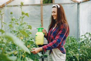 Watering vegetables